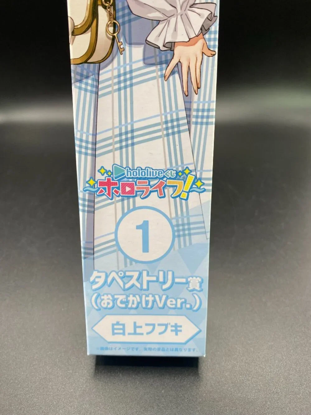 Hololive Shirakami Fubuki Tapestry Scroll 1 (Going Out Version) Hololife New